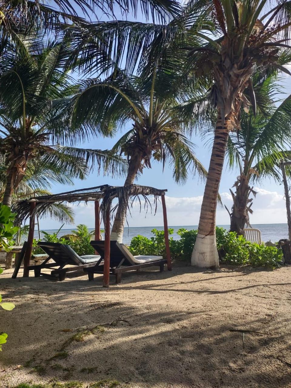 Lunazul Eco-Cabana Frente Al Mar Mahahual Buitenkant foto