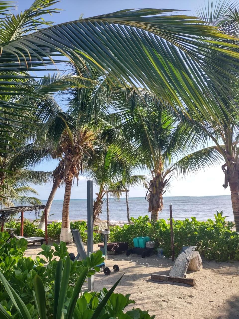 Lunazul Eco-Cabana Frente Al Mar Mahahual Buitenkant foto
