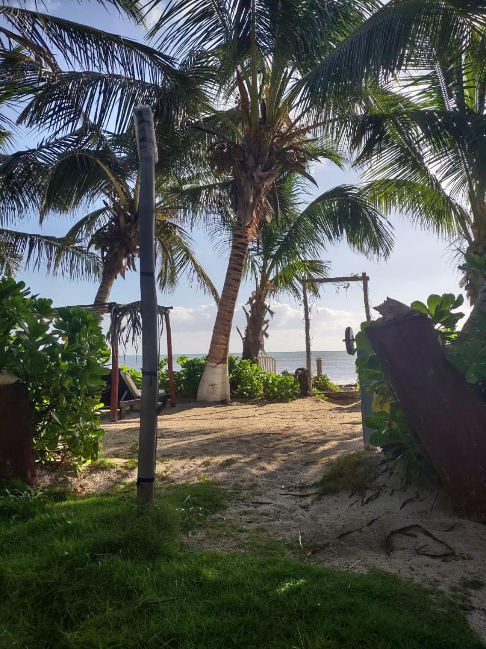 Lunazul Eco-Cabana Frente Al Mar Mahahual Buitenkant foto
