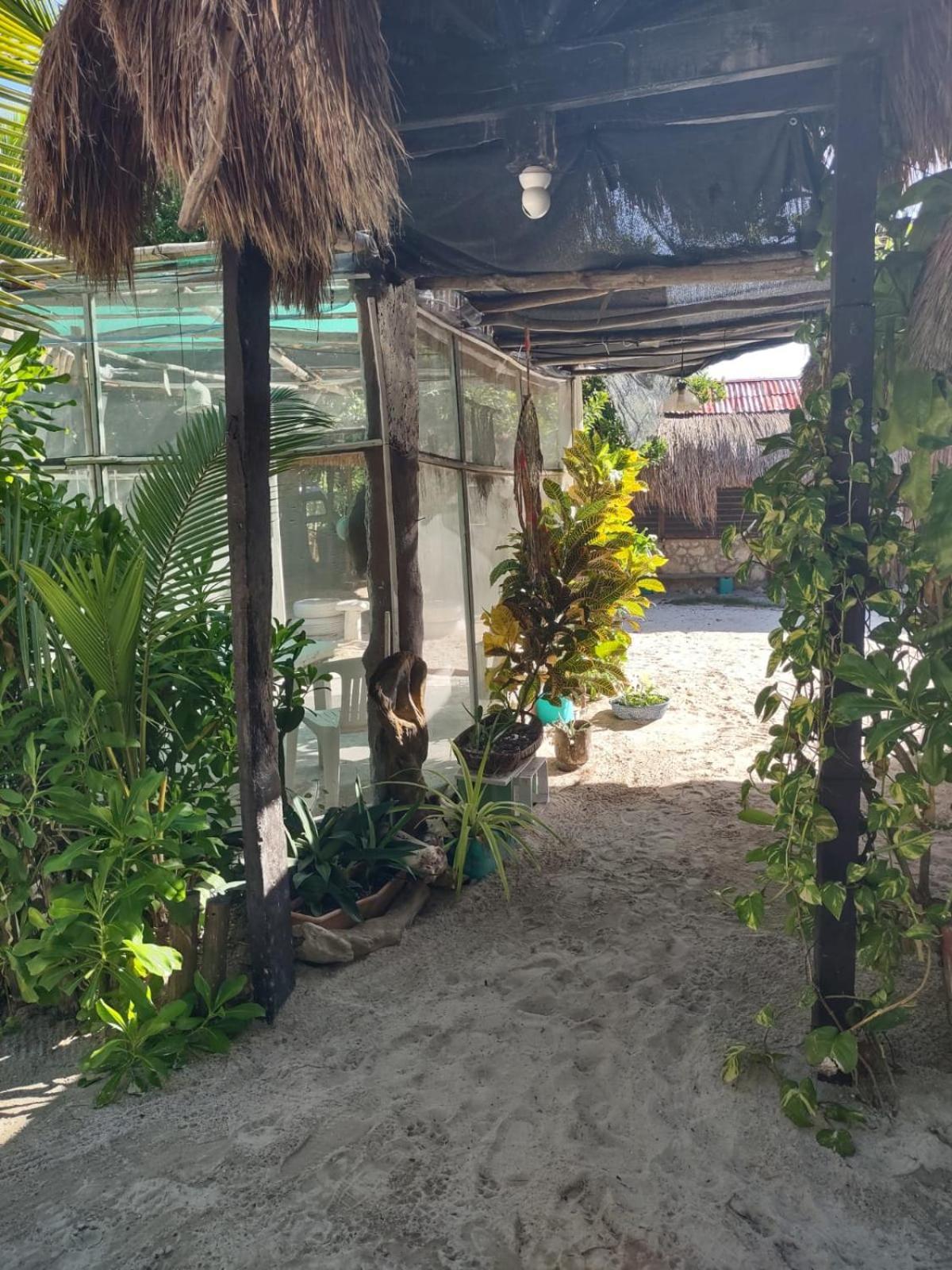Lunazul Eco-Cabana Frente Al Mar Mahahual Buitenkant foto